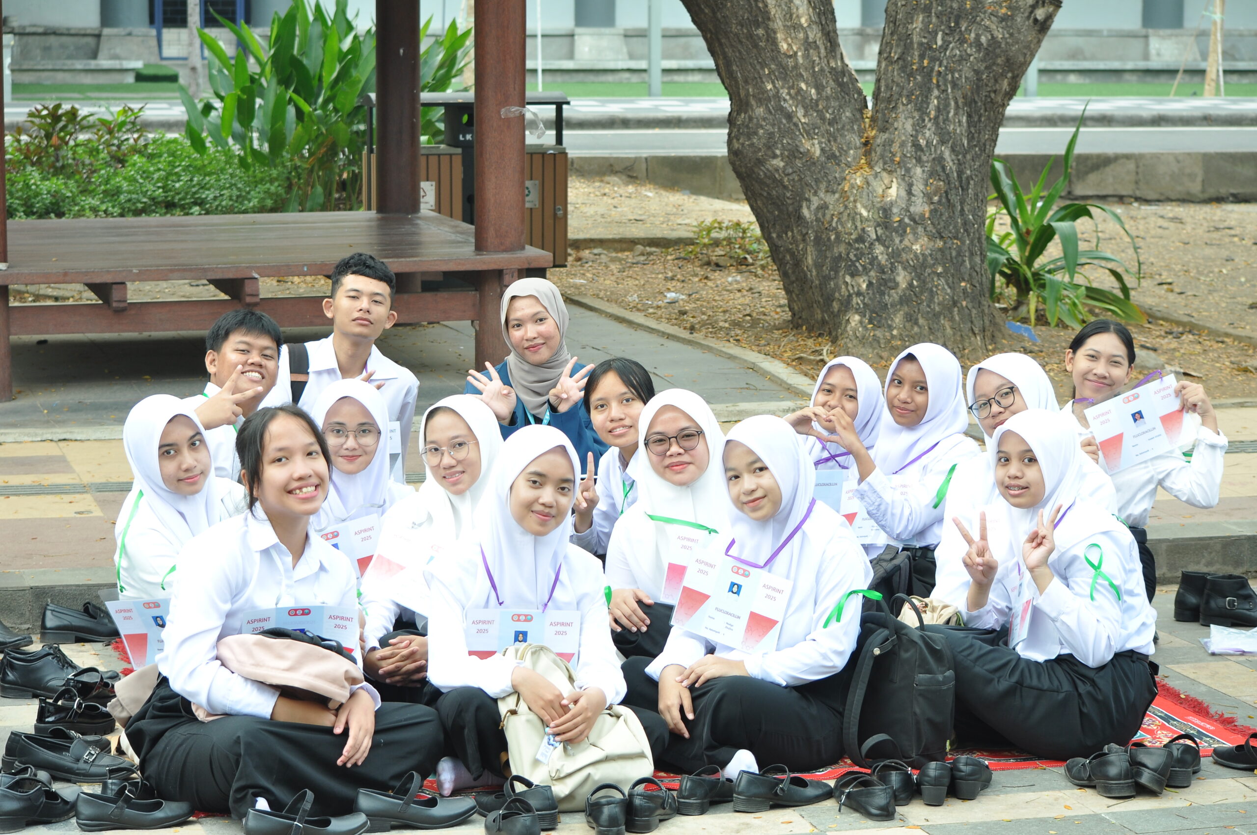 aspirint 1